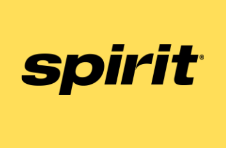 Google pays Spirit Airlines $10 million for internal data to power AI