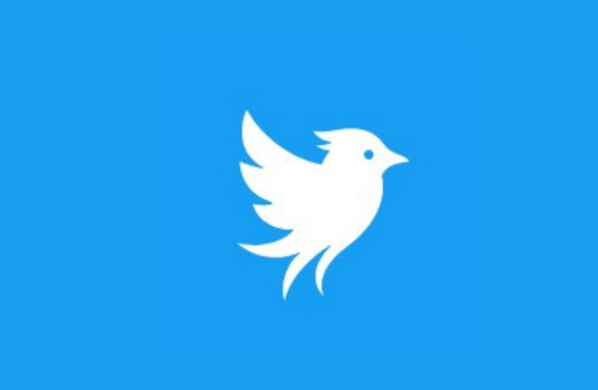 New ‘Twitter’ launches as startup revives Twitter name amid legal fight with Musk’s X